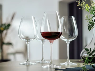 Purismo red wine glasses lined up A Villeroy & Boch Purismo red wine glass is in the centre of a table, surrounded by empty wine glasses, with green plants elegantly decorating the scene.