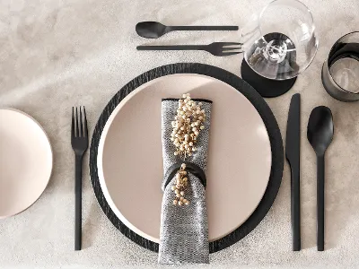 Aerial shot of NewMoon beige plate paired with Manufacture rock plate and flatware
