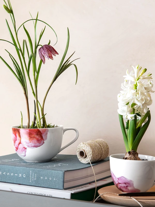 Two Rose Garden cups used as cute flower pots on books.