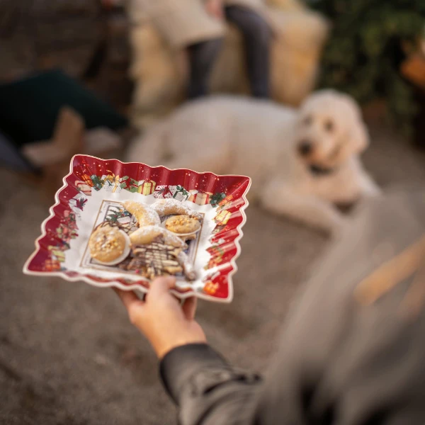 A person holds a festive red plate with assorted cookies and pastries, while a person sits on a chair in the background, blurred, with a white dog lying nearby. Cozy, holiday atmosphere.