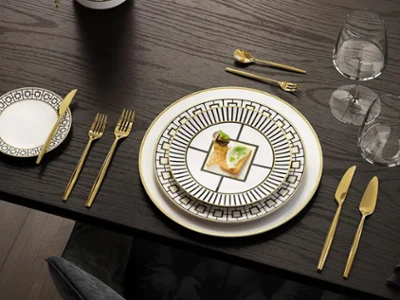 Close-up MetroChic dinnerware higlighting the elegant geometric plate design.