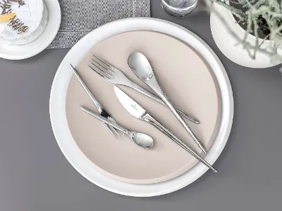 Flatware from NewMoon on a beige plate NewMoon table setting from Villeroy & Boch on a beige plate on a gray background.