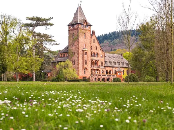 Ein historisches Backsteinhaus Ein historisches Backsteinhaus mit einem hohen Turm steht umgeben von Bäumen und einer mit Gänseblümchen übersäten Wiese.