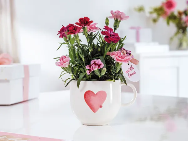A white With Love cup with a red heart A white With Love cup with a red heart and pink and red flowers on a white table.